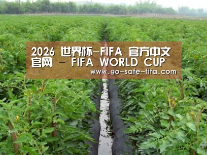种植基地三