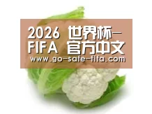 产品名称九