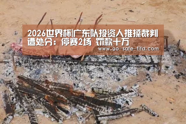 2026世界杯|广东队投资人推搡裁判遭处分:停赛2场 罚款十万(图1) 2026世界杯官网