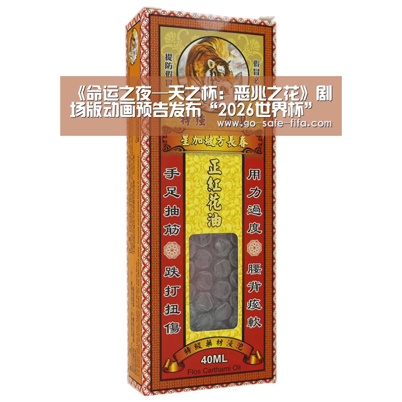 《命运之夜—天之杯:恶兆之花》剧场版动画预告发布“2026世界杯”(图1) 2026世界杯