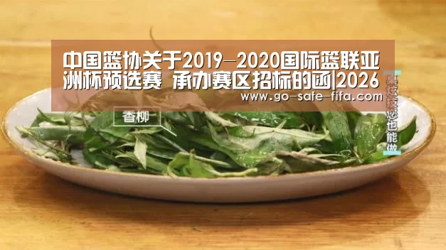中国篮协关于2019-2020国际篮联亚洲杯预选赛 承办赛区招标的函|2026世界杯官网(图1) 世界杯买球