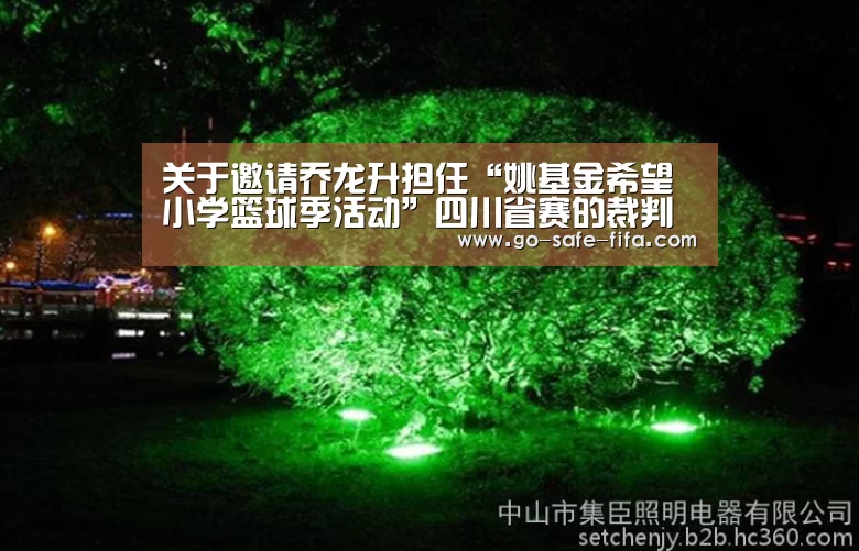 关于邀请乔龙升担任“姚基金希望小学篮球季活动”四川省赛的裁判长的通知‘2026世界杯’(图1) 2026世界杯官网